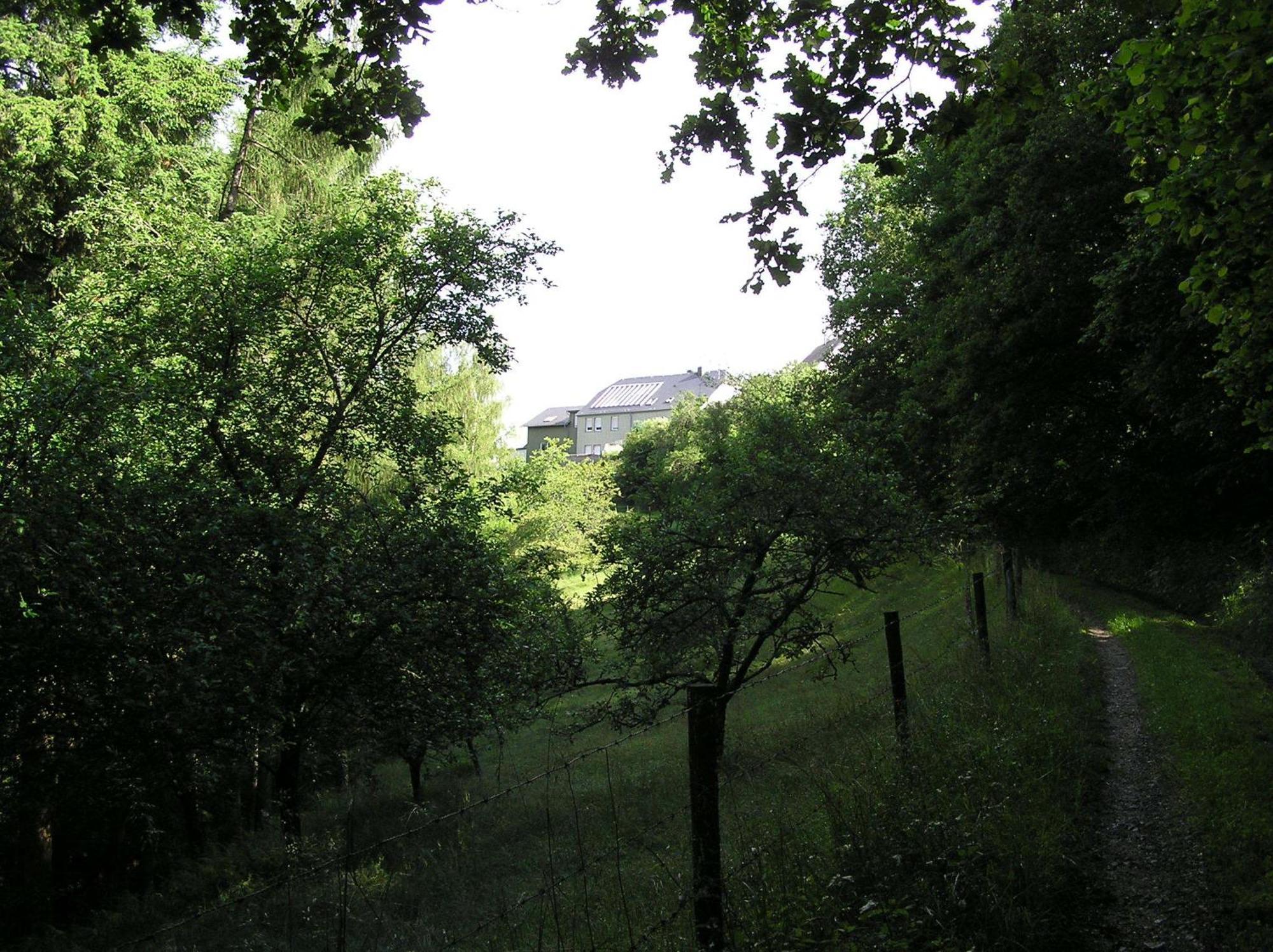 Ferienwohnung Nisius Geisfeld  Exterior photo